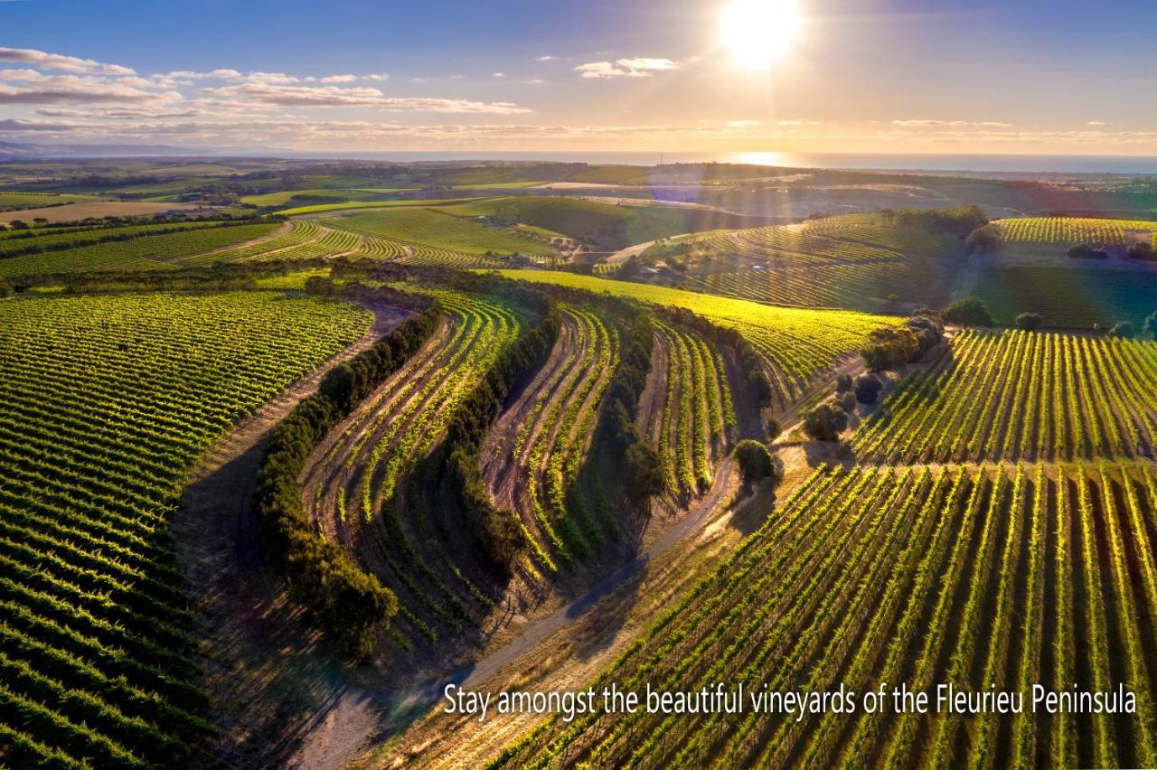 Sellicks Hill The Old Chaff Mill Organic Vineyard Retreat B&B 외부 사진