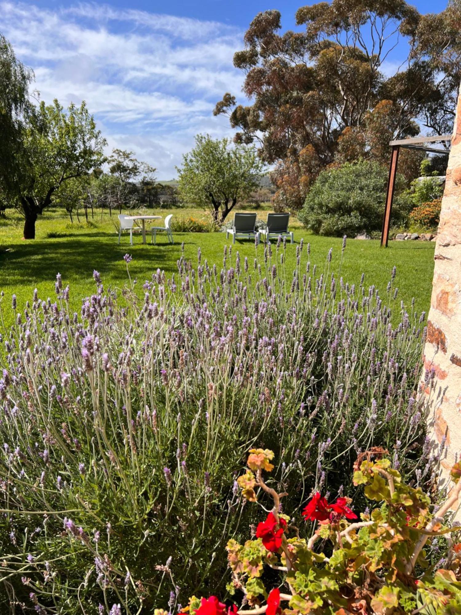 Sellicks Hill The Old Chaff Mill Organic Vineyard Retreat B&B 외부 사진